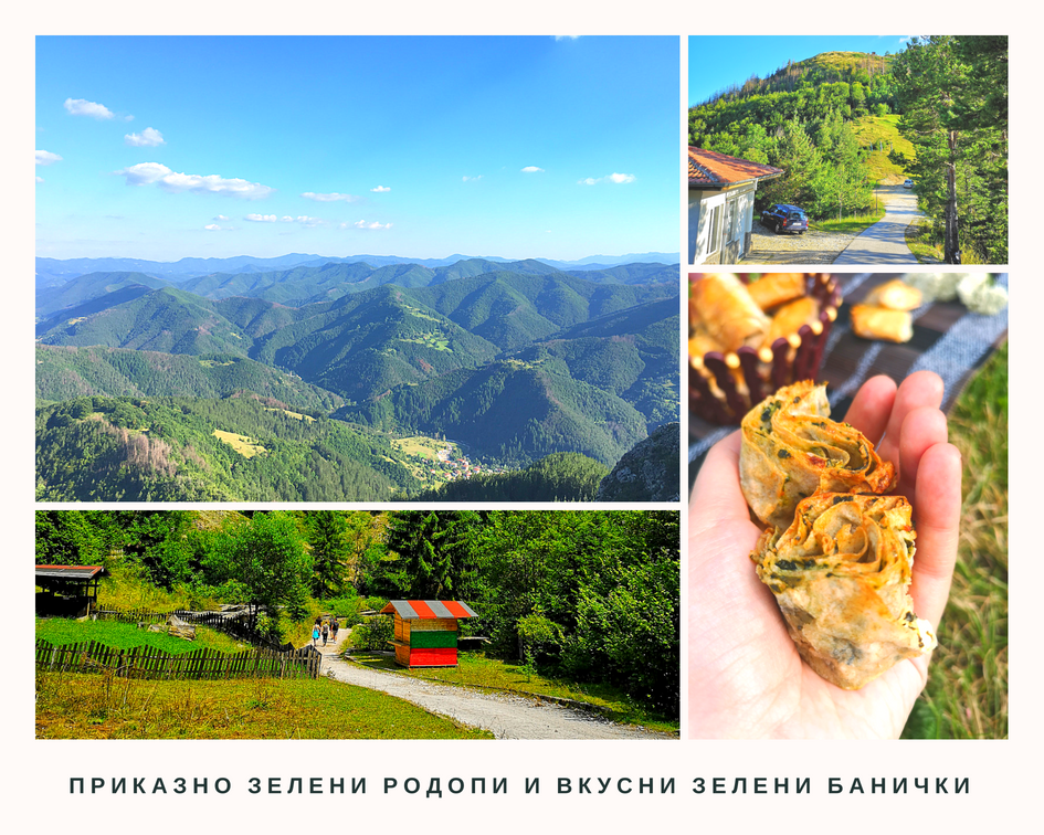 collage-2